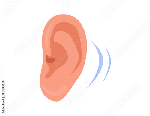 Anatomical medical vector illustration of a human ear on a solid background with detailed external structure and sound.
