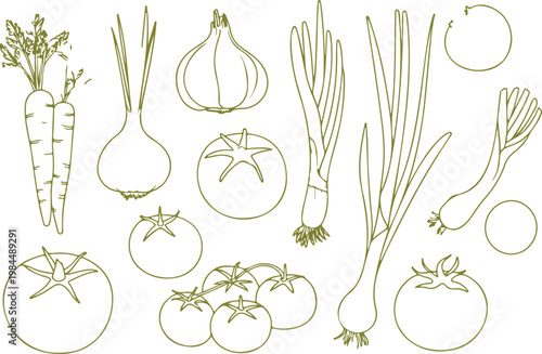 Clean hand drawn vegetable set featuring fresh produce like tomato onion garlic and carrot in simple organic botanical line style
