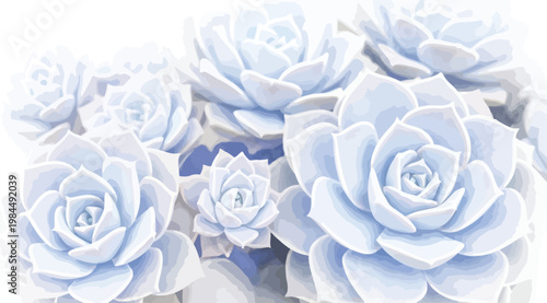Beautiful light blue succulent plants pattern background