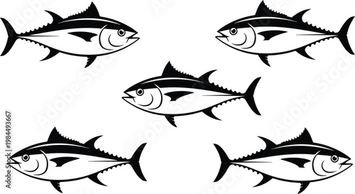 Clean hand drawn vector fish set featuring three stylized tuna swimming in diagonal formation with streamlined bodies and sharp fins