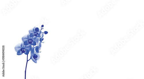 Beautiful blue orchid flower branch