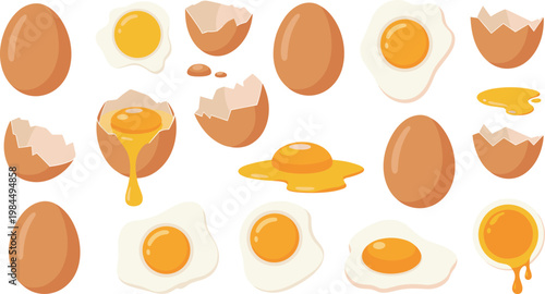 Brown organic eggs collection with fried eggs cracked eggshells and raw dripping yolk vector illustration for cooking and healthy breakfast designs