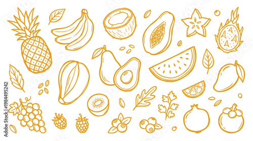 Hand drawn sketch of assorted tropical and common fruits including pineapple banana papaya coconut watermelon mango grapes and berries isolated on white background healthy food concept