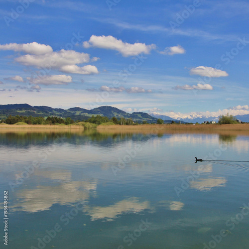 Quiet spring day at Lake Pfaeffikon, Switzerland.