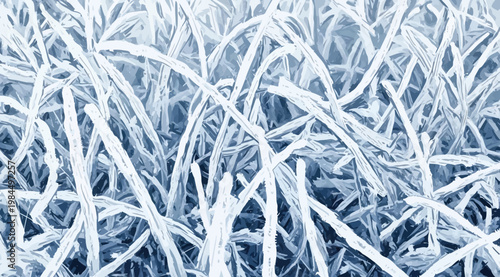 Abstract background of frosty grass blades in winter