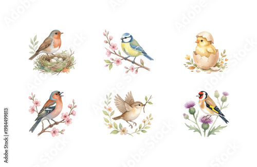 Watercolor Spring Birds Icon Set with Robin Blue Tit Chick Nest and Blossoms