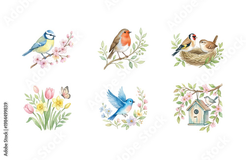 Watercolor Spring Bird Icons Collection with Floral Elements