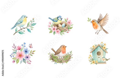 Watercolor Spring Bird and Garden Icon Set Isolated on White