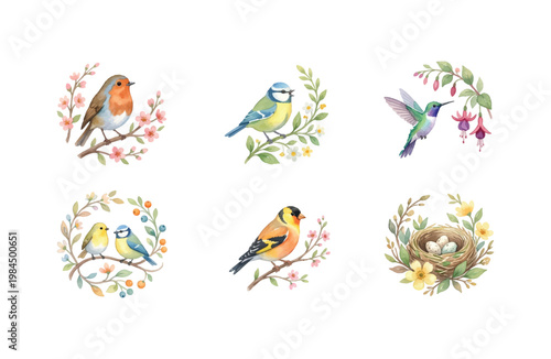 Watercolor Spring Bird Icon Set with Robins Blue Tits Goldfinch and Nest