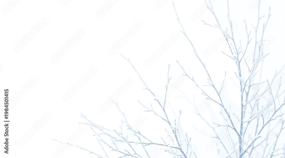 Fototapeta premium Frostcovered tree branches