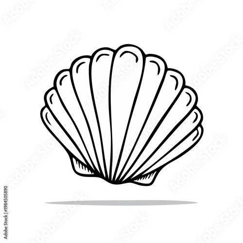 Hand drawn scallop seashell illustration simple line art isolated on white
