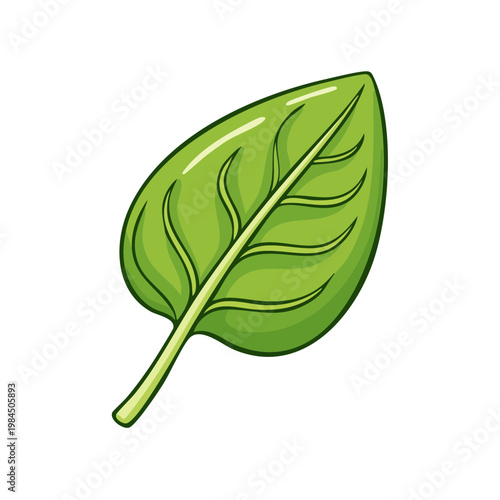 Vibrant green spinach leaf with visible veins and stem in a simple illustration