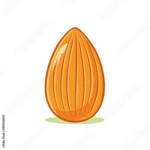 Stylized Almond Nut Healthy Food Ingredient Vector Illustration