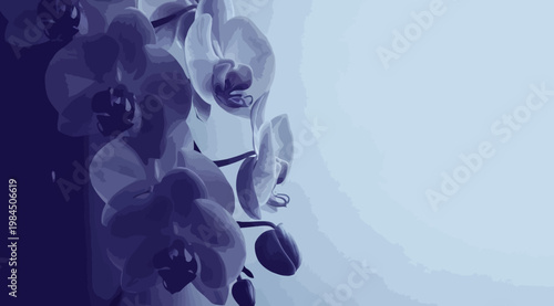 Beautiful blue orchid flowers on a light blue background