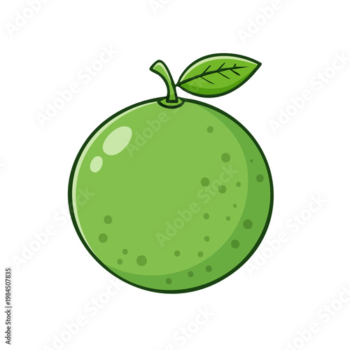 Vibrant Green Citrus Fruit With Leaf and Stem Cartoon Illustration