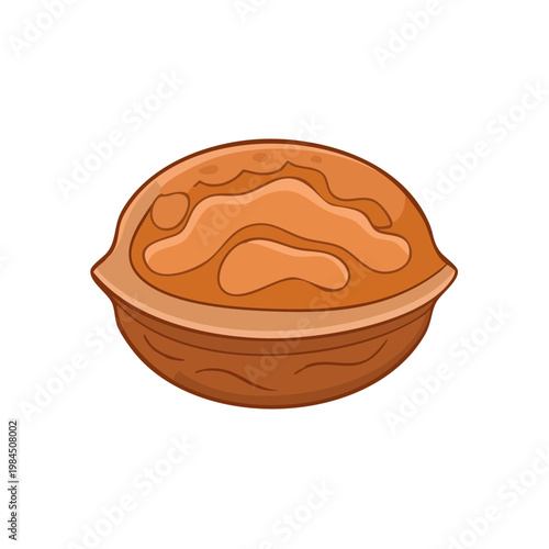 Hand drawn illustration of a single whole walnut in its shell isolated on white background