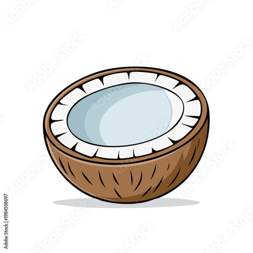 Fresh ripe coconut cut in half revealing white flesh and clear water inside