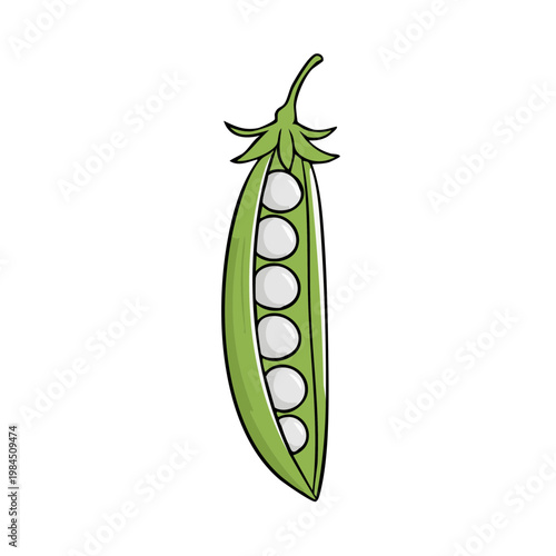 Open pea pod revealing six white peas inside a vibrant green pod illustration