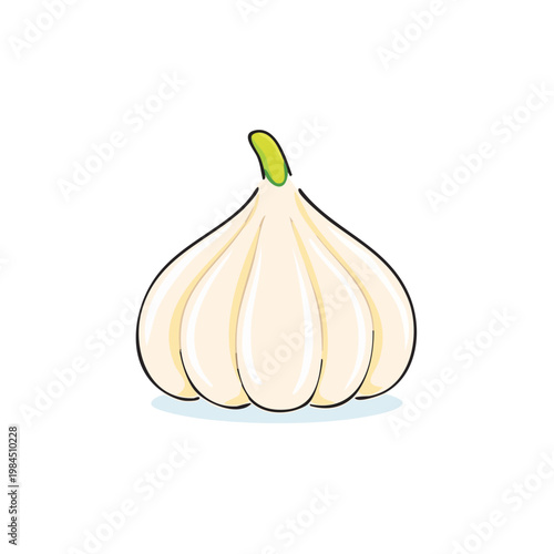 Simple illustration of a single whole garlic bulb with a green stem