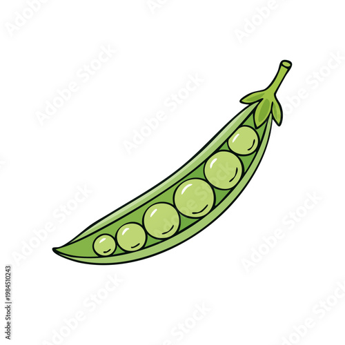 Illustration of a green pea pod with visible peas inside, isolated on a white background
