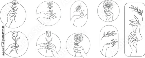 Minimalist line art of hands holding flowers and leaves composition