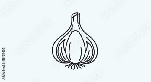 onion on a white background