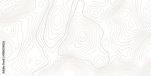 Light topographic topo contour map background.Grid map. Abstract vector illustration.contour background.