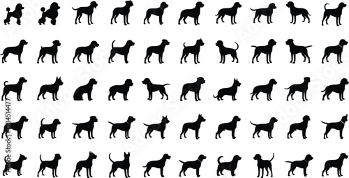 Dog silhouettes set with different breeds poses standing walking sitting pet animal black icons vector collection isolated design elements