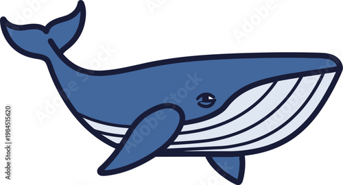 vector illustration of cartoon shark