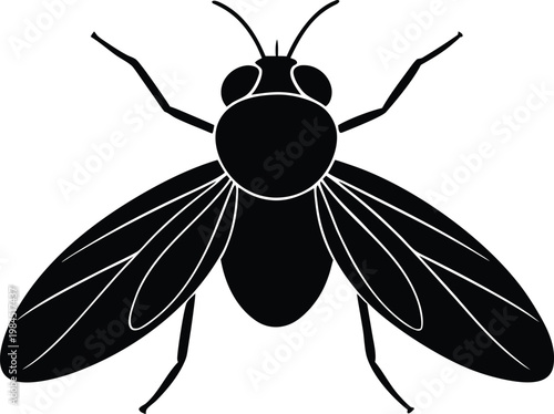 Housefly common insect pest silhouette