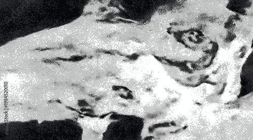 Closeup of a weathered, textured tree bark surface with deep cracks and organic patterns in high contrast black and white