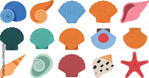 Cartoon vector illustration of seashells and starfish showing diverse marine life and ocean design