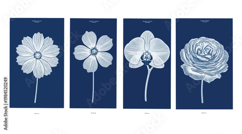 Set of four botanical cyanotype prints featuring a cosmos, anemone, orchid, and rose flower in blue and white