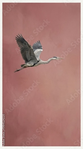 Single heron flying against a soft pink sky background.