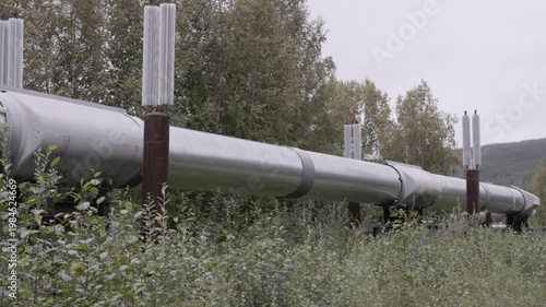 a close up pan of a section of the trans alaska pipeline with heat pipes near fairbanks, alaska of the usa