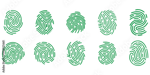 Image of a vector fingerprint icon with a checkmark symbol representing verification