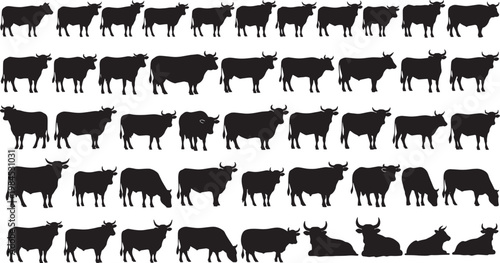 Large Set of Cow and Cattle Silhouettes in Various Poses - Vector Illustration
