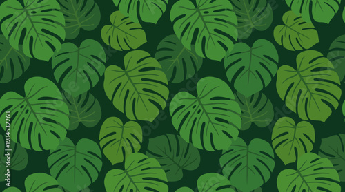 Monstera leaf pattern with green leaves.