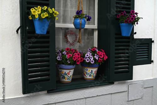 Pots de fleurs accrochés à une fenêtre