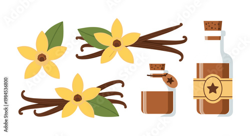 Vector Set of Vanilla Flowers and Pods with Glass Bottles of Vanilla Extract and Labels on White Background