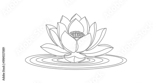 Elegant Lotus Flower Line Art Illustration on Water Ripples - Zen, Spa, Wellness Concept