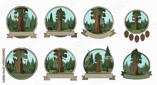 Giant Sequoia Badge Vector Set Sequoiadendron Giganteum Vintage Forest Emblem Illustration