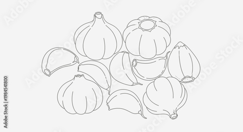 Onion illustration, bunch of onions drawing