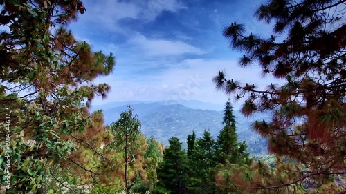A cinematic mountain vista opens between golden pine canopies, revealing Nainital�s misty blue ridges and dense cedar forests, dramatic cloud-painted sky, creating a serene postcard-like video frame.