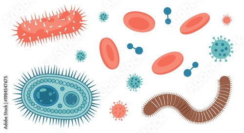 Vector Set of Bacteria, Viruses, Red Blood Cells, and Microorganisms for Medical, Science, and Healthcare Illustrations