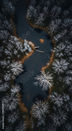 Aerial view captures a winding river carving through a frosted forest. Trees line the dark water, creating a stark contrast