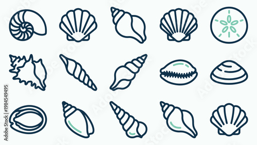Set of Marine Shell Line Art Icons for Coastal Branding and Web Design