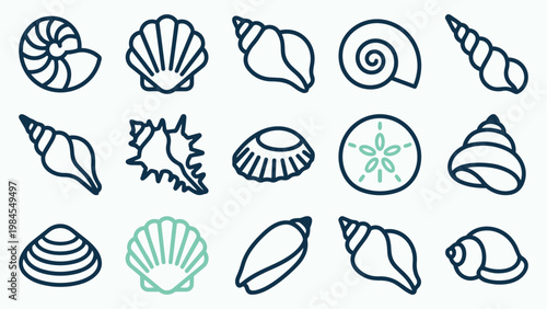 Collection of Minimalist Seashell Line Icons for Summer and Beach Design