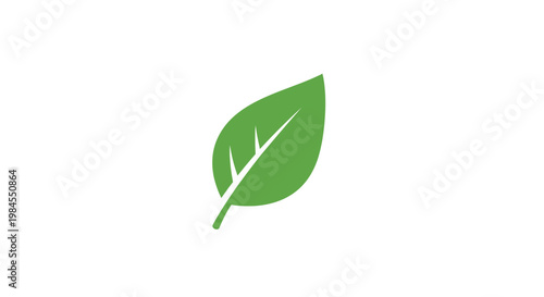 Minimalist Green Leaf Illustration on a White Background Ideal for Diverse Applications