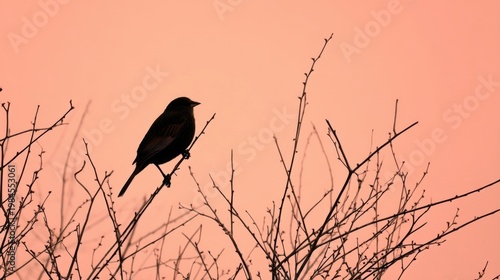 A birds silhouette perches on bare branches against a soft pink orange sky, peaceful poetic scene.
